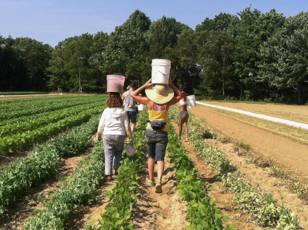 Produce